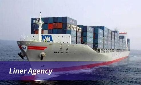 Liner Agency